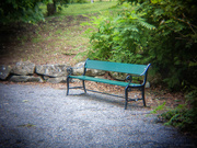 19th Jun 2024 - Bench