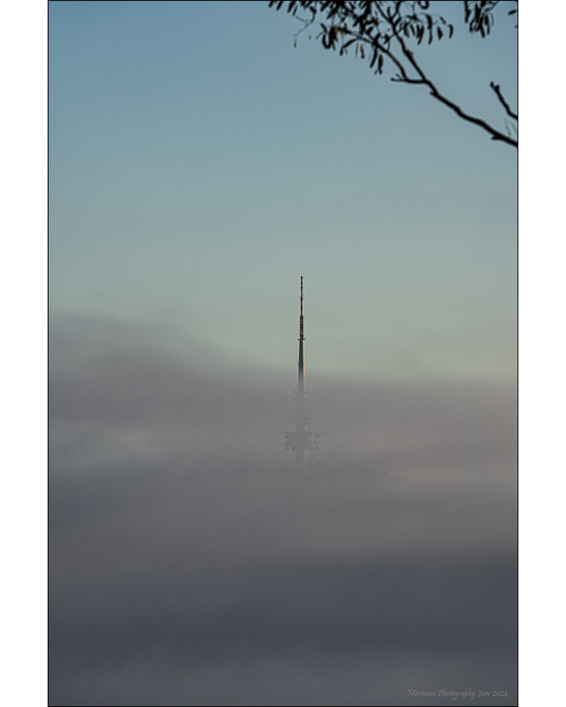 Telstra tower  by mortmanphotography