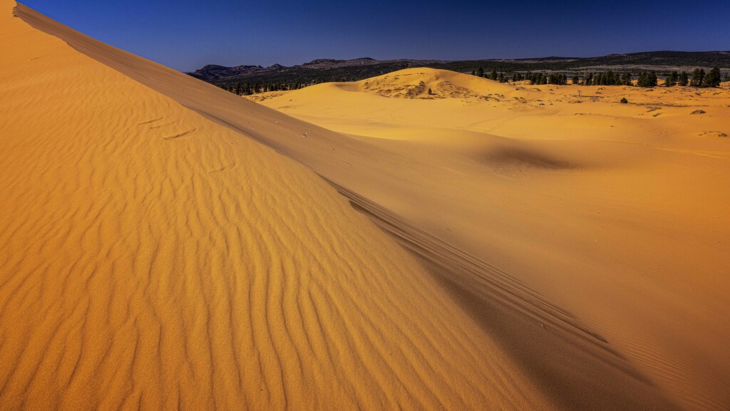 Sand Dunes by robertallanbear
