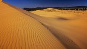 10th Apr 2024 - Sand Dunes