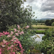 20th Jun 2024 - Looking across to Hambledon Hill from Rishton. 