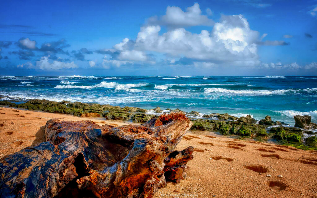 Beachside Kauai by photographycrazy