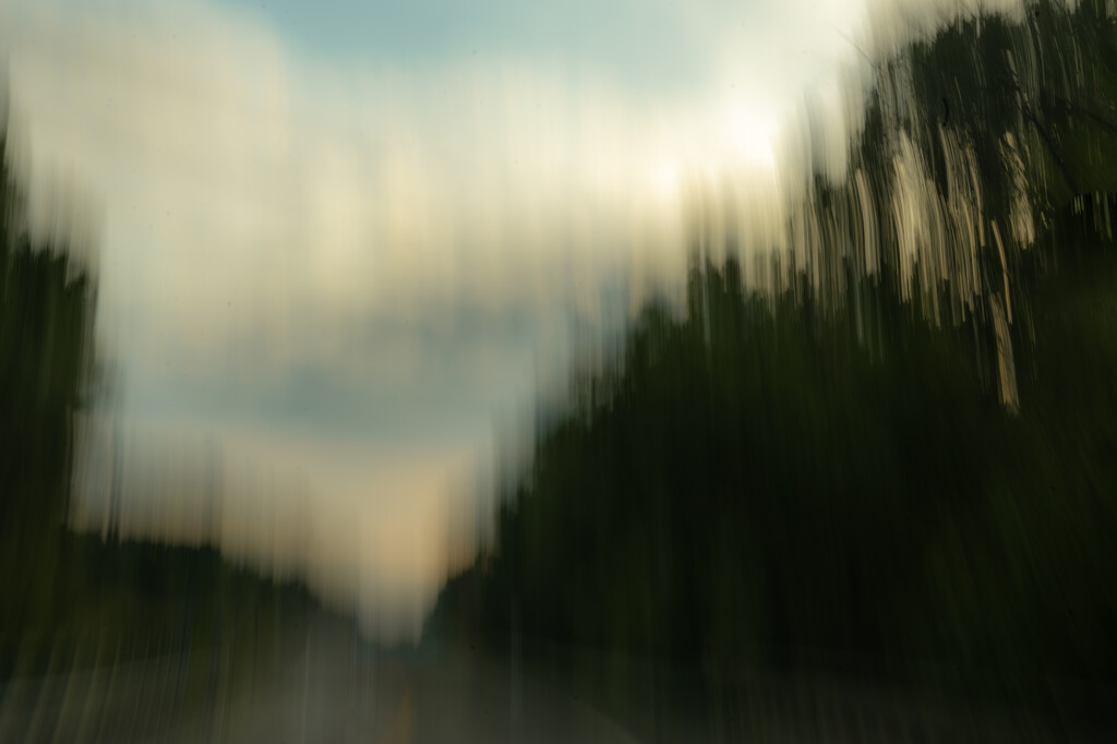 Just icm by jackies365