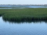 15th Jun 2024 - Marsh Grasses and Inlet Waters