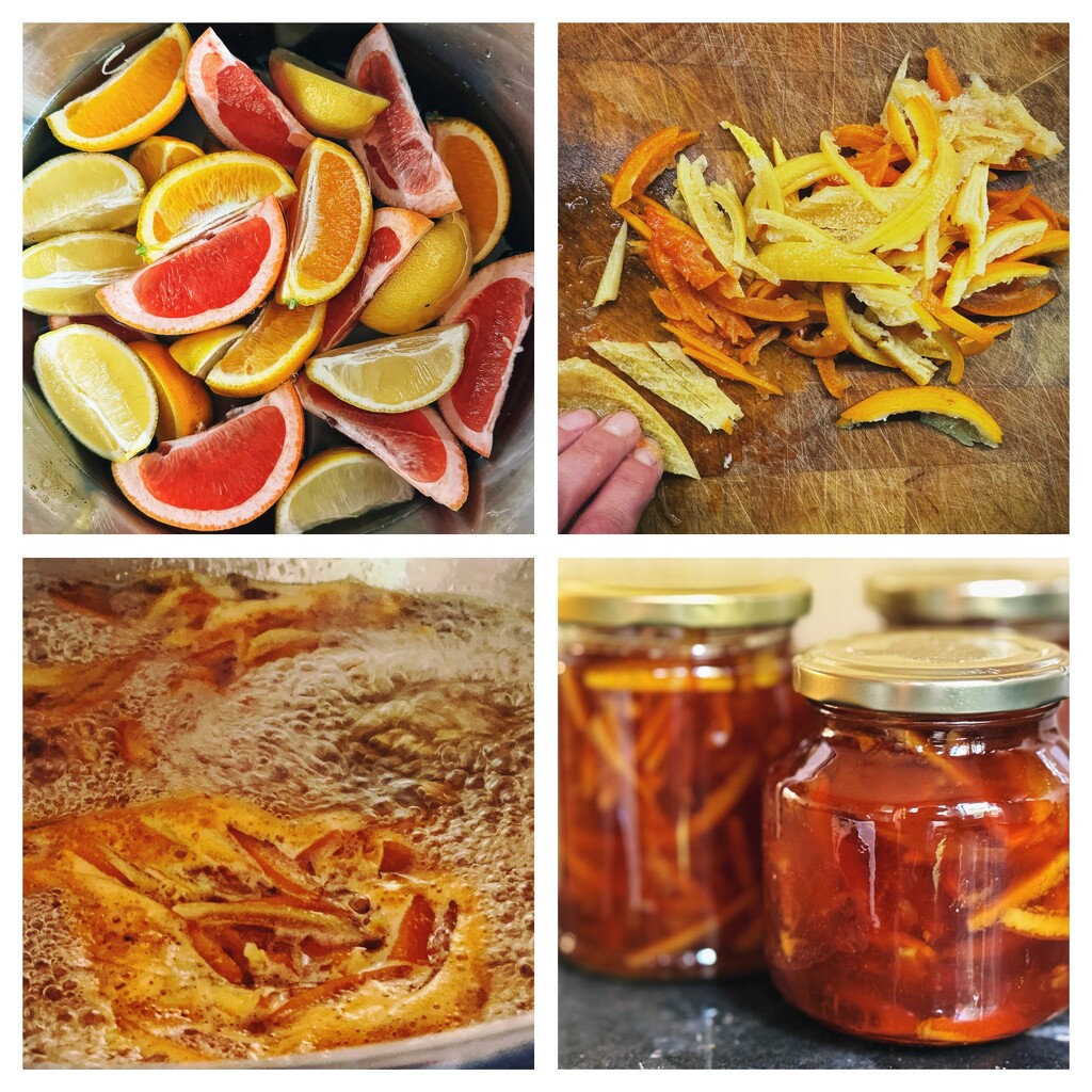 Three Fruit Marmalade by anncooke76