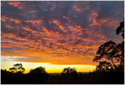 20th Jun 2024 - Sunrise in the Australian country