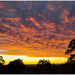 Sunrise in the Australian country by kerenmcsweeney