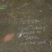 Chalk It Up to Love