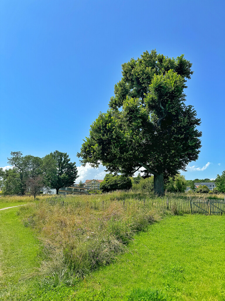 A nice day for a long walk.  by cocobella