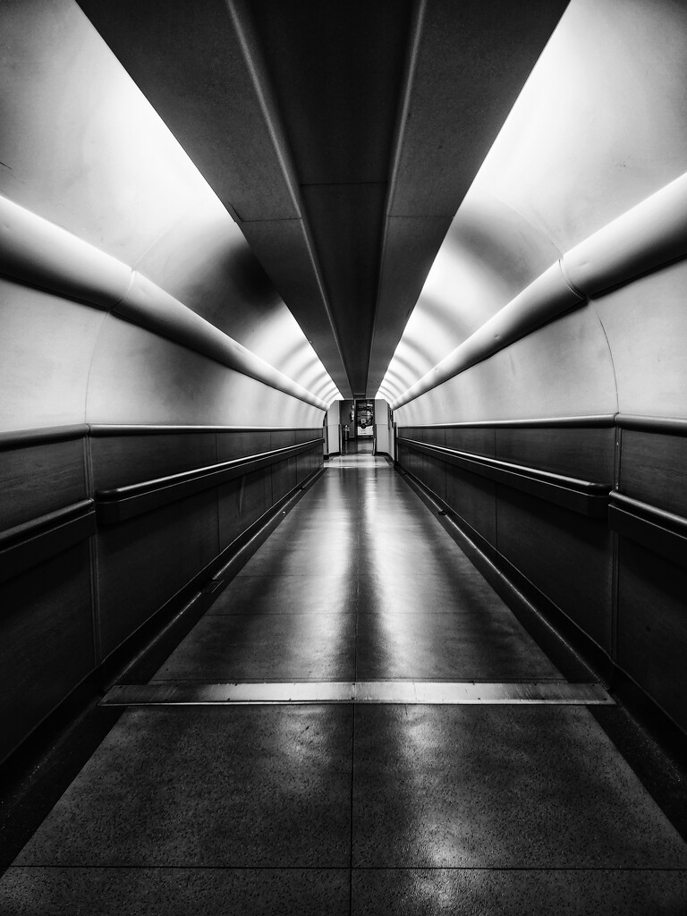 Time Tunnel by ljmanning