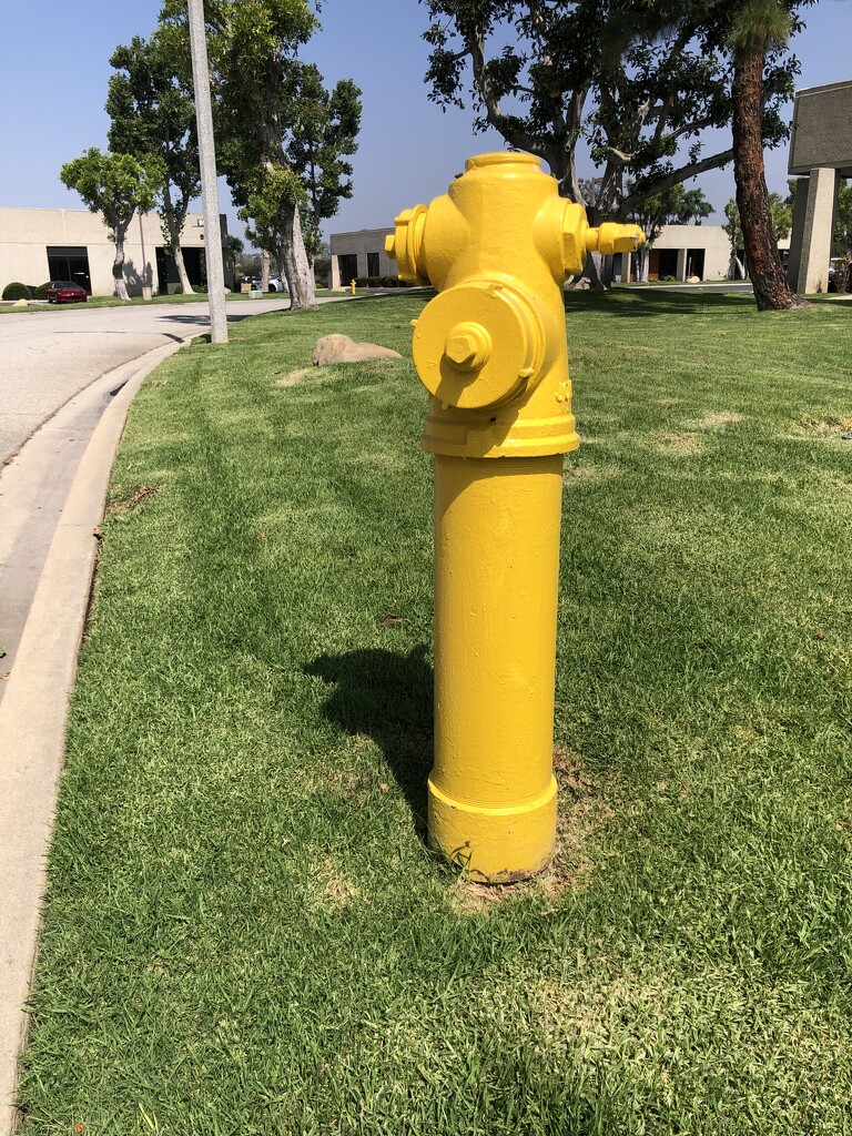Fire Hydrant by loweygrace
