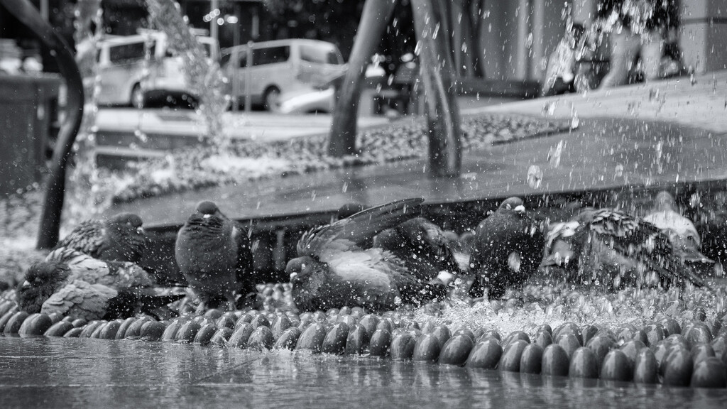 Communal Shower by helenw2