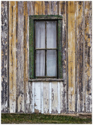 19th Jun 2024 - The Green Window