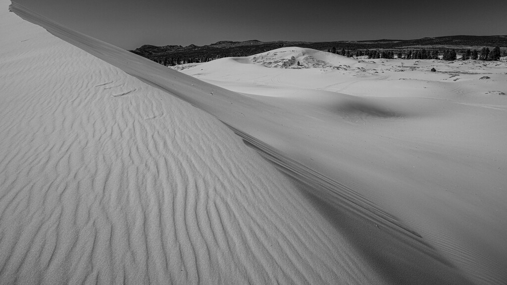 Utah Sand Dunes  by robertallanbear