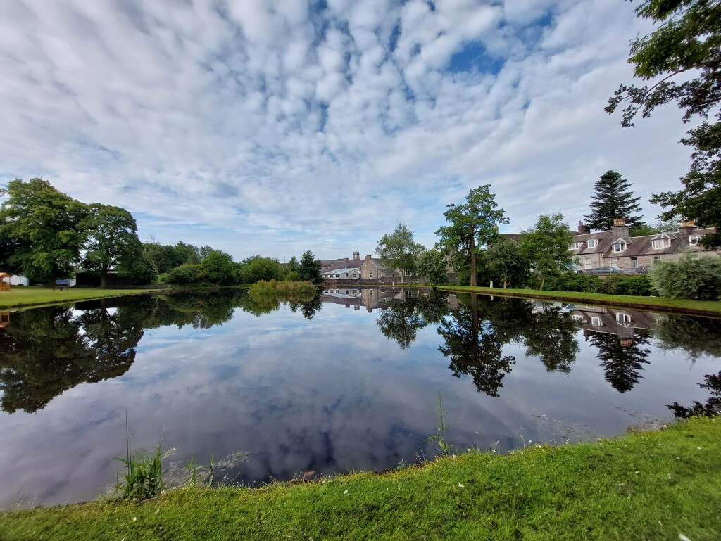 The pond, Colliston Park, Dalbeattie  by samcat