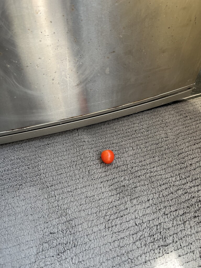 Dropped tomato by helenawall