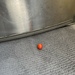 Dropped tomato