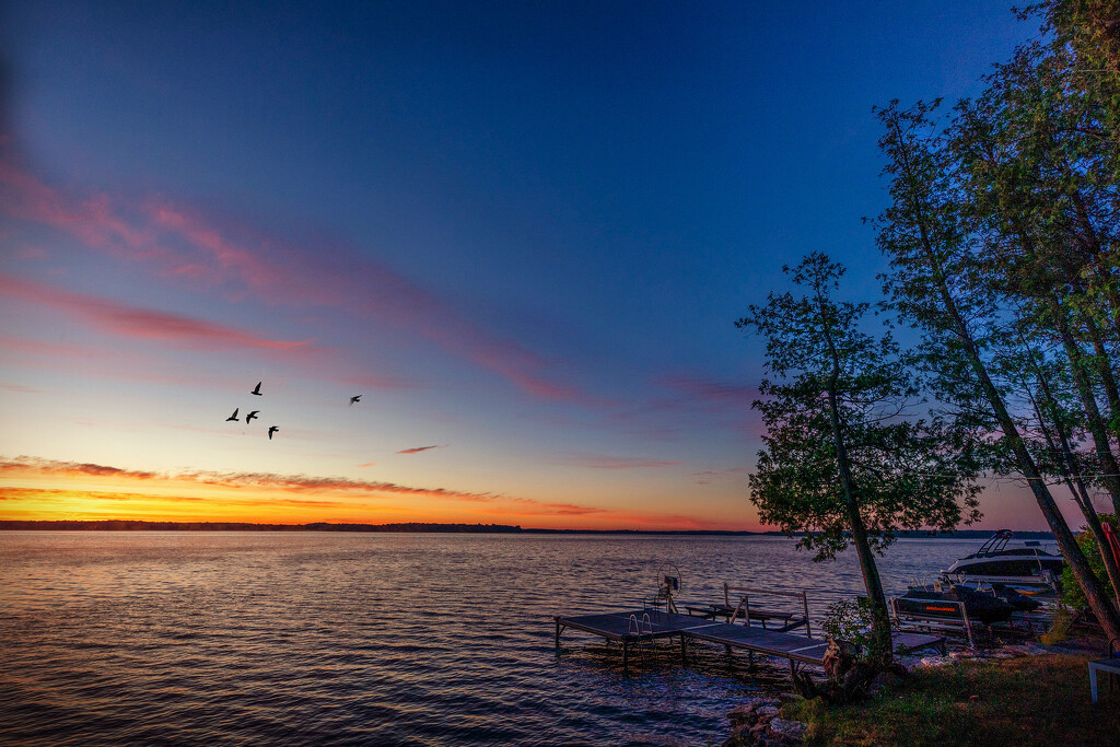 Sunrise Birds by pdulis