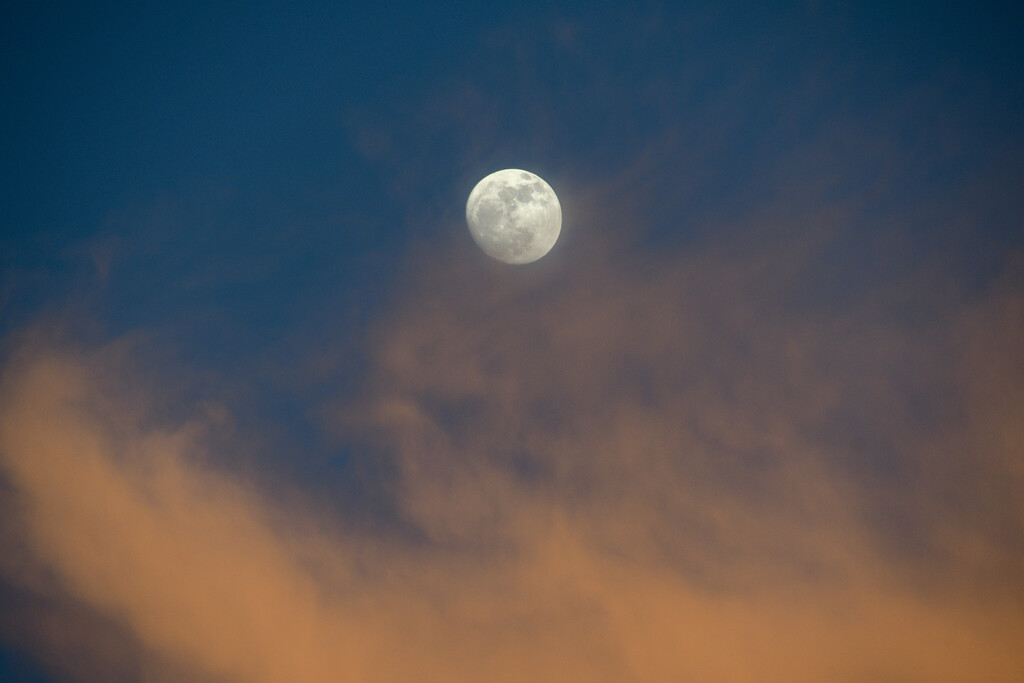 Moon at sunset by danette