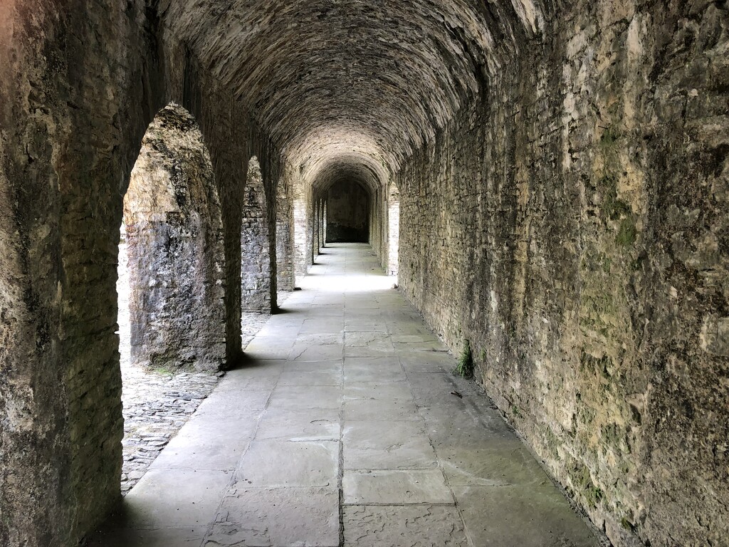 Cloisters at Aberglasney Gardens by susiemc