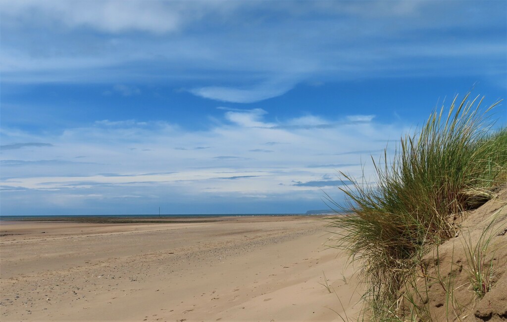 Beach Life  by countrylassie