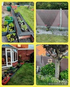 21st Jun 2024 - Summer Solstice.  Garden Collage. 