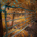 Autumn Coloured Gate