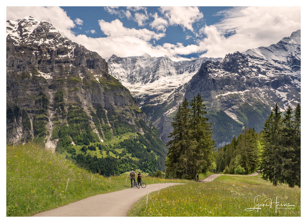 Grindelwald, Switzerland by lynne5477