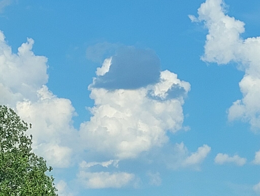 Is it just me or does this cloud look like it's wearing a toupee and mustache? by scoobylou