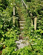 20th Jun 2024 - Hidden Stairway