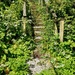 Hidden Stairway by antmcg69