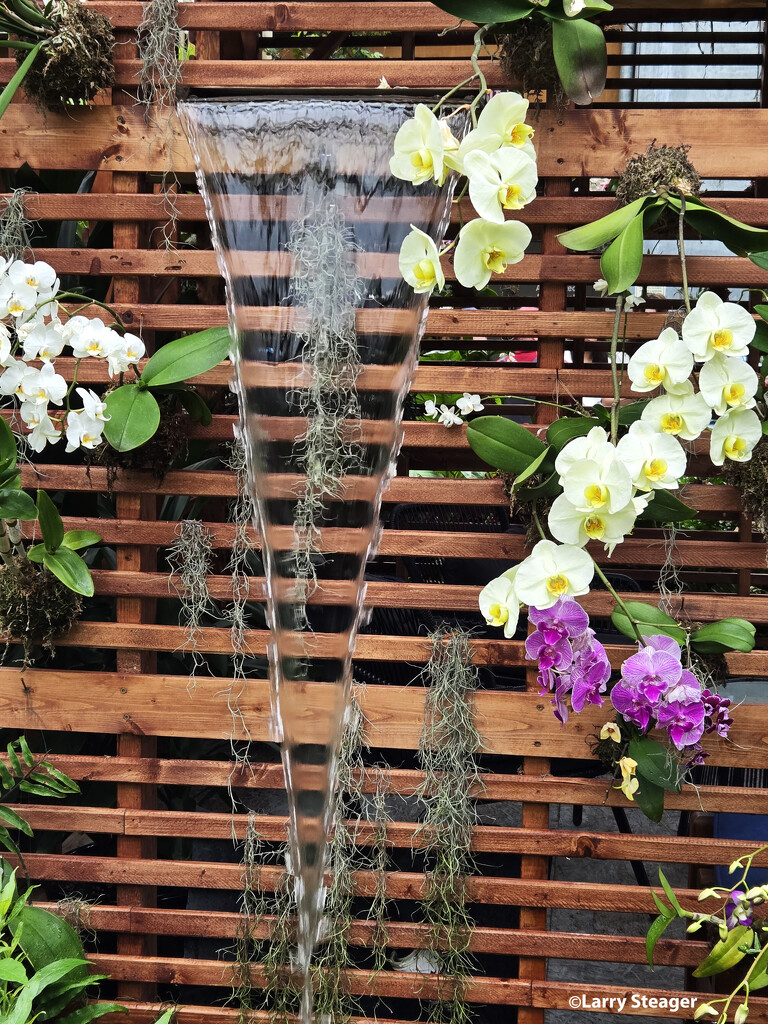 Water fall and orchids by larrysphotos