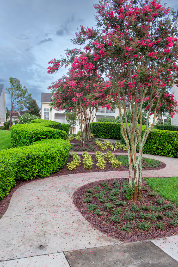 My neighborhood version of Lombard Street  by frodob