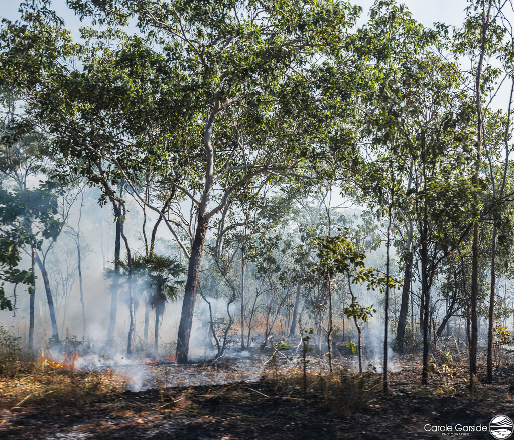 Bush Fires by yorkshirekiwi