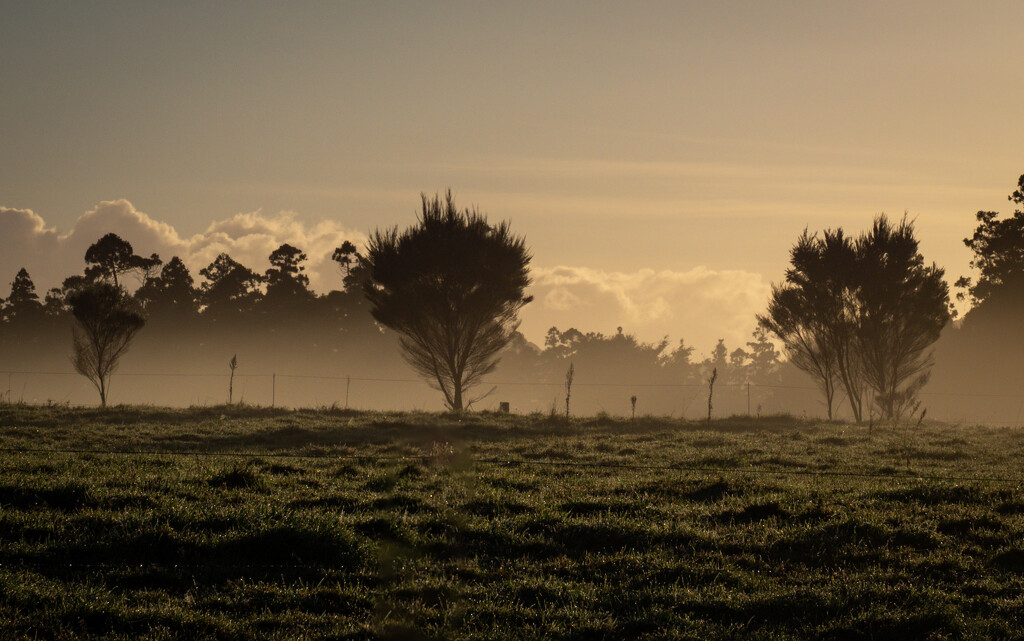 A foggy start by christinav