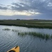 Heading out over the marsh at high tide