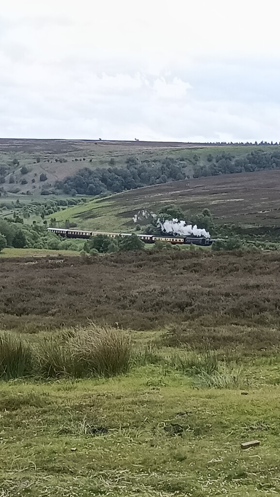 North Yorkshire Moors railway by ollyfran