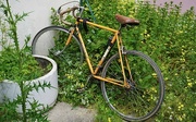 21st Jun 2024 - Lovely surprise… a visitors vintage bicycle… 