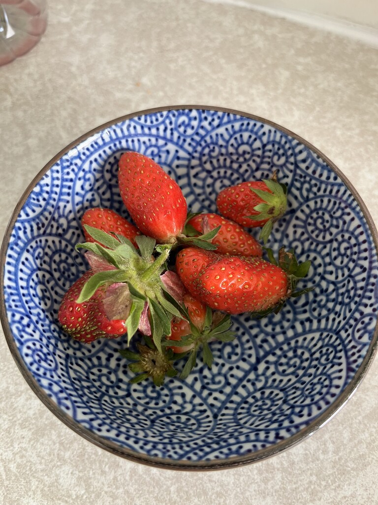 Strawberries from the garden by helenawall