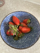 21st Jun 2024 - Strawberries from the garden
