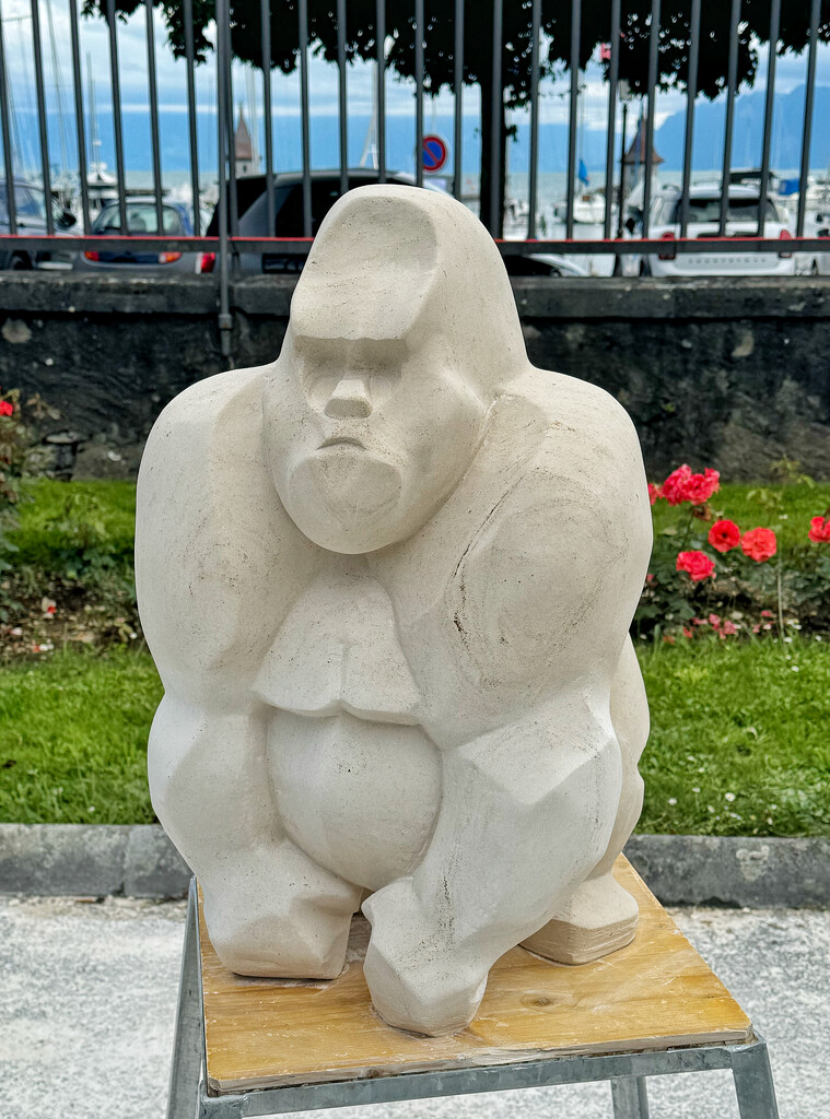 Stone gorilla.  by cocobella
