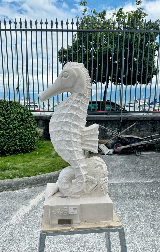 Stone Seahorse.  by cocobella