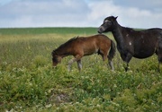 21st Jun 2024 - Mom And Son