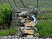 21st Jun 2024 - dry stone waller