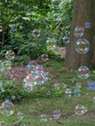 20th Jun 2024 - 030: Bubbles