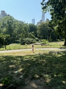 21st Jun 2024 - Central Park Picnic