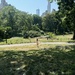 Central Park Picnic