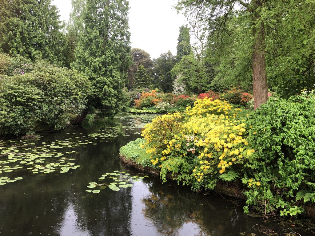  Tatton Gardens  by susiemc