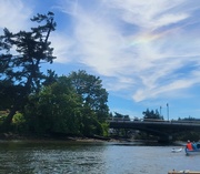 21st Jun 2024 - Cloud Irridescence