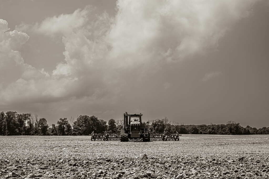 Tractor by darchibald